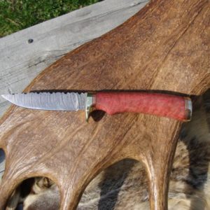 AFRICAN PINK IVORY BURL HANDLE DAMSCUS BLADE HUNTING KNIFE FILE WORKED BLADE