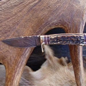 AGED INDIA STAG WITH CAPE BUFFALO BONE HANDLE DAMASCUS BLADE HUNTING KNIFE FILE WORKED BLADE