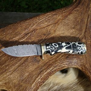 ALLIGATOR TOOTH HANDLE DAMASCUS BLADE HUNTER WITH FILE WORK