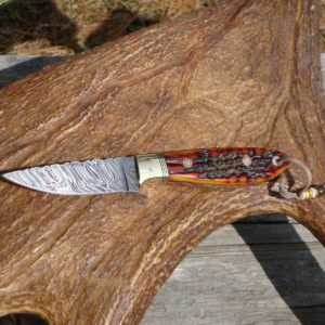 AMBER STAG HANDLE FIRE STORM DAMASCUS BLADE BIRD TROUT HUNTING KNIFE FILE WORKED