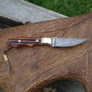 AMBER STAG HANDLE FIRE STORM DAMASCUS BLADE BIRD TROUT KNIFE