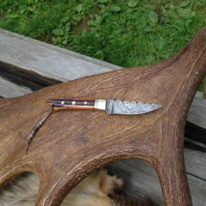 AMBER BONE HANDLE WITH FIRE STORM DAMASCUS BLADE BIRD TROUT KNIFE FILE WORKED