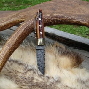 AMBER BONE HANDLE WITH FIRE STORM DAMASCUS BLADE BIRD TROUT KNIFE FILE WORKED