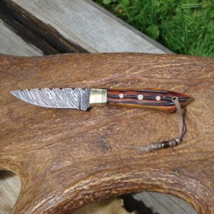 AMBER BONE HANDLE WITH FIRE STORM DAMASCUS BLADE BIRD TROUT KNIFE FILE WORKED