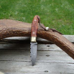 AMBOYNA BURL WOOD HANDLE DAMASCUS BLADE SMALL HUNTER