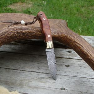 AMBOYNA BURL WOOD HANDLE DAMASCUS BLADE SMALL HUNTER