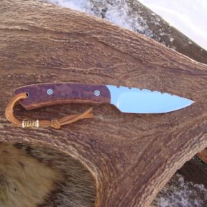 Australian Red Malle Burl handle bird trout knife D2 Steel with file worked blade
