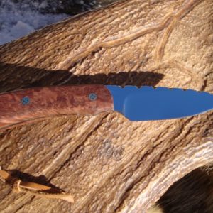 Australian Red Malle Burl handle bird trout knife D2 Steel with file worked blade