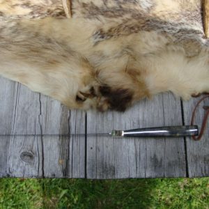 BUCKEYE BURL HANDLE STEEL HEAD FILLET KNIFE