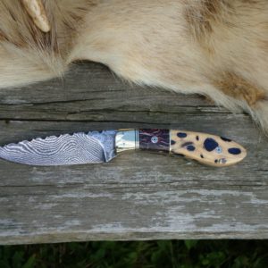 CACTUS HANDLE DAMASCUS BLADE BIRD TROUT KNIFE WITH FILE WORK