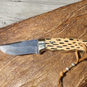 CACTUS HANDLE DAMASCUS BLADE HUNTER FILE WORKED