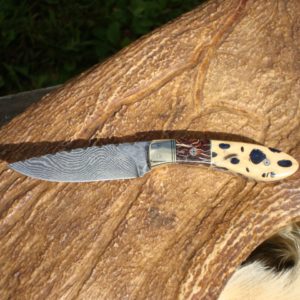 CACTUS HANDLE DAMASCUS BLADE BIRD TROUT KNIFE WITH FILE WORK