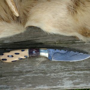 CACTUS HANDLE DAMASCUS BLADE BIRD TROUT KNIFE WITH FILE WORK