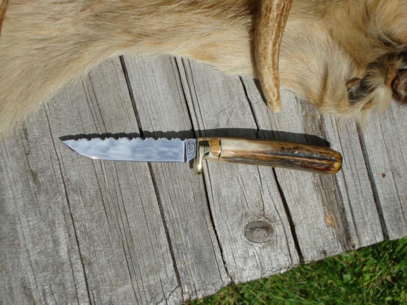 CARBON STEEL BLADE BIRD TROUT KNIFE WITH INDIA STAG AND LEOPARD JASPER HANDLE FILE WORKED BLADE