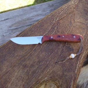 CARBON STEEL LIONS BLOOD AMBOYNA WOOD HANDLE SKINNER KNIFE