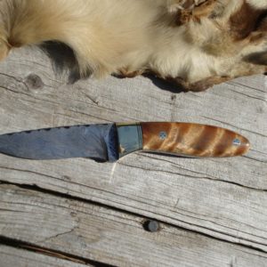 CHETOIANCE BURL WOOD HANDLE DAMASCUS BLADE HUNTER FILE WORKED