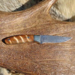 CHETOIANCE BURL WOOD HANDLE DAMASCUS BLADE HUNTER FILE WORKED