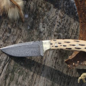 CHOLLA CACTUS HANDLE FEATHER PATTERN DAMASCUS BLADE WITH FILE WORK