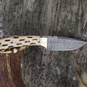 CHOLLA CACTUS HANDLE FEATHER PATTERN DAMASCUS BLADE WITH FILE WORK