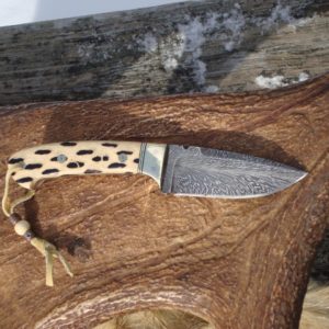 CHOLLA CACTUS HANDLE FEATHER PATTERN DAMASCUS BLADE WITH FILE WORK