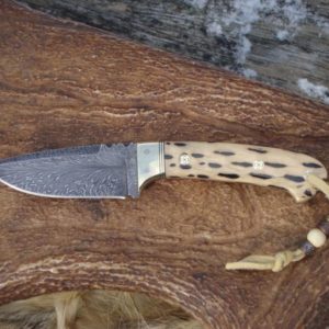 CHOLLA CACTUS HANDLE FEATHER PATTERN DAMASCUS BLADE WITH FILE WORK