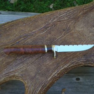 CARBON STEEL COOLIBAH BURL & IRON WOOD HANDLE BIRD TROUT KNIFE