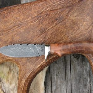 AUSTRALIAN COOLIBAH BURL WOOD HANDLE DAMASCUS DROP POINT KNIFE