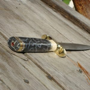 FOSSIL CORAL AND WARTHOG HANDLE DAMASCUS DAGGER