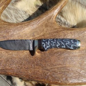 FOSSIL CORAL AFRICAN BLACKWOOD DAMASCUS BLADE HUNTER FILE WORKED