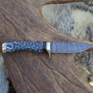 FOSSIL CORAL AFRICAN BLACKWOOD DAMASCUS BLADE HUNTER FILE WORKED