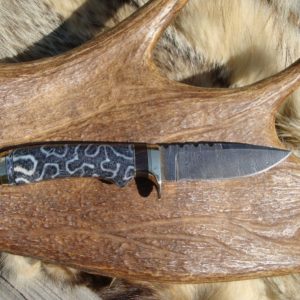 FOSSIL CORAL AFRICAN BLACKWOOD DAMASCUS BLADE HUNTER FILE WORKED