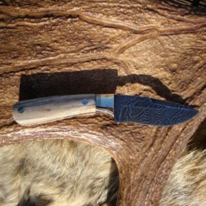 CREAM GIRAFFE BONE HANDLE DAMASCUS BLADE SMALL HUNTER FILE WORKED