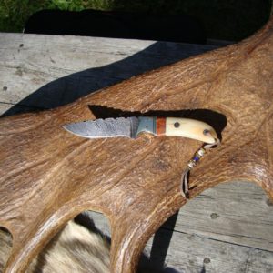 CREAM COLOR GIRAFFE BONE AMBOYNA WOOD HANDLE DAMASCUS BLADE