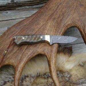 CUSTOM DAMASCUS BLADE AFRICAN WATER BUCK HORN HANDLE KNIFE