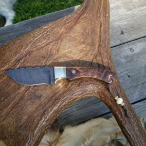 DAMASCUS BLADE DYED MAUSER BIRCH BURL HANDLE MEDIUM SIZE HUNTER