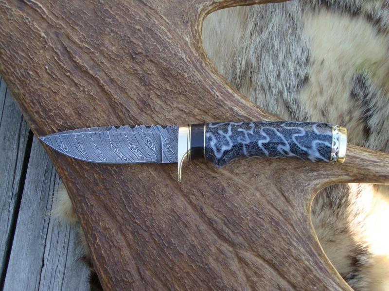 FOSSIL CORAL AFRICAN BLACKWOOD DAMASCUS BLADE HUNTER FILE WORKED