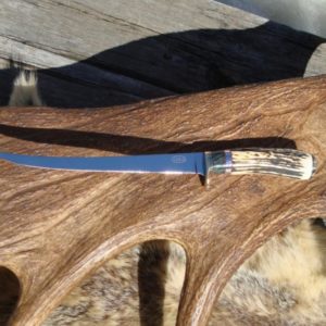 INDIA STAG WITH MAPLE BURL WOOD HANDLE LARGE FILLET KNIFE