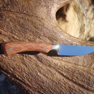 AUSTRALIAN LACY SHEOAK HANDLE STRAIGHT BACK BLADE HUNTNG KNIFE S30V STEEL