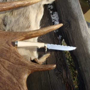 MAMMOTH IVORY HANDLE CARBON STEEL BIRD TROUT KNIFE