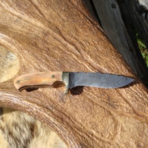 MAMMOTH IVORY WITH AFRICAN BLACKWOOD HANDLE DAMASCUS BLADE SMALL HUNTER