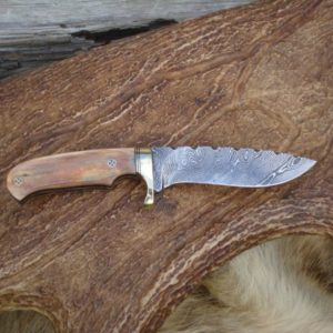 MAMMOTH IVORY WITH AFRICAN BLACKWOOD HANDLE DAMASCUS BLADE SMALL HUNTER