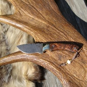 DAMASCUS BLADE DYED MAUSER BIRCH BURL HANDLE MEDIUM SIZE HUNTER