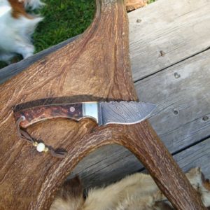 DAMASCUS BLADE DYED MAUSER BIRCH BURL HANDLE MEDIUM SIZE HUNTER