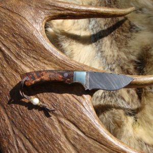 DAMASCUS BLADE DYED MAUSER BIRCH BURL HANDLE MEDIUM SIZE HUNTER