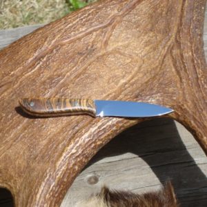 CUSTOM BOCOTE BURL HANDLE BIRD TROUT TOOL STEEL KNIFE