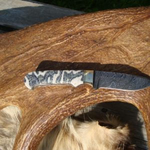 ZEBRA FOSSIL CORAL HANDLE ZEBRA DAMASCUS BLADE FILE WORKED