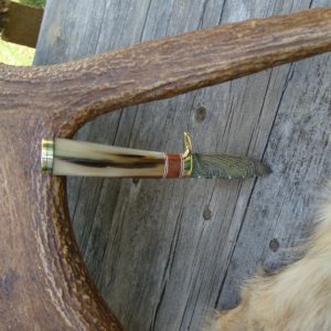 OX HORN WITH AMBOYNA WOOD HANDLE BIRD TROUT KNIFE