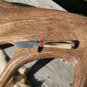 OX HORN WITH AMBOYNA WOOD HANDLE BIRD TROUT KNIFE