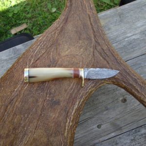 OX HORN WITH AMBOYNA WOOD HANDLE BIRD TROUT KNIFE