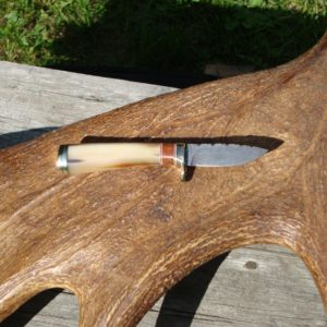 OX HORN WITH AMBOYNA WOOD HANDLE BIRD TROUT KNIFE